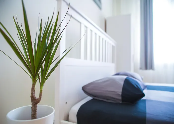 Apartman Color Franceza St *